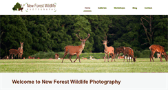Desktop Screenshot of newforestwildlife.com